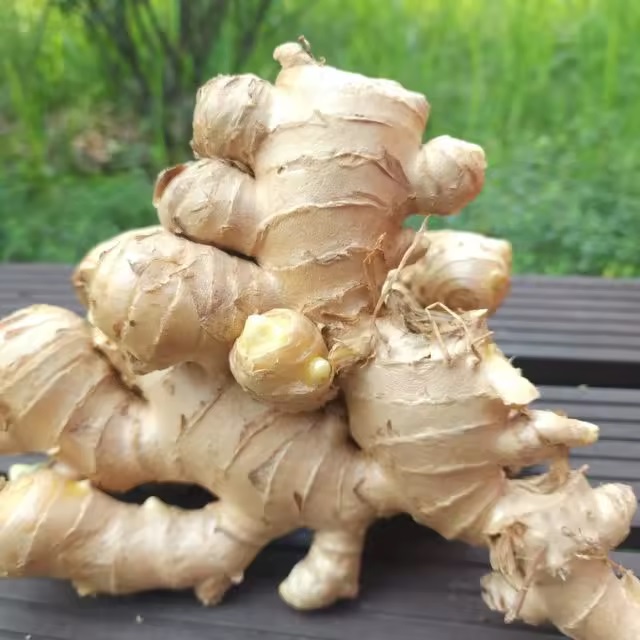 Imbiero riekelės (su cinamonu) – 2